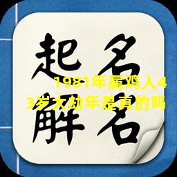 1981年属鸡人43岁大劫年是真的吗 